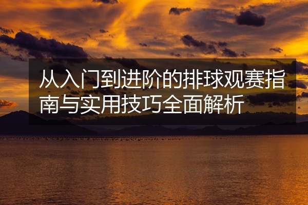 从入门到进阶的排球观赛指南与实用技巧全面解析